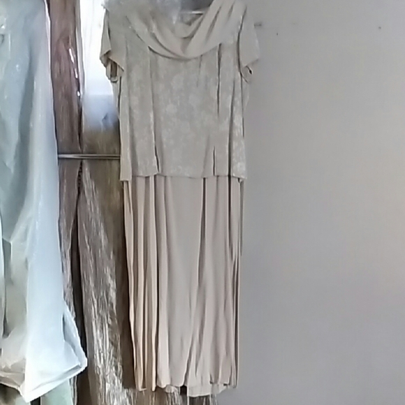 Sheri Martin size 16 Champaign color dress - Picture 3 of 4